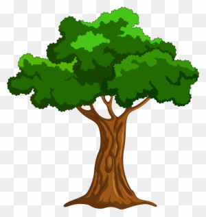 A cartoon-style green leafy tree with a thick brown trunk on transparent background.