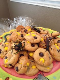 Spooky Spider Cookies for Halloween - Easy Treat Idea