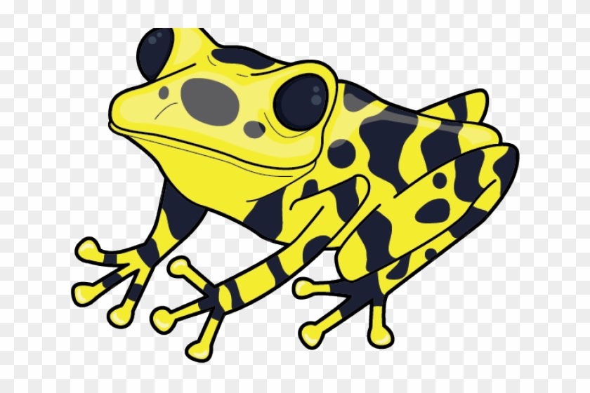Yellow and Black Striped Frog Illustration - Free Clipart Download