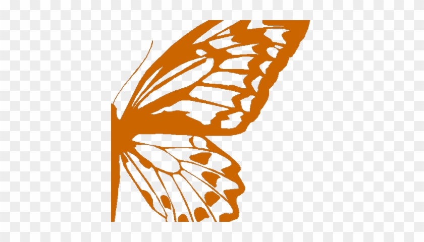 Free Butterfly Wing Silhouette SVG PNG EPS Files For Crafts 3833040 