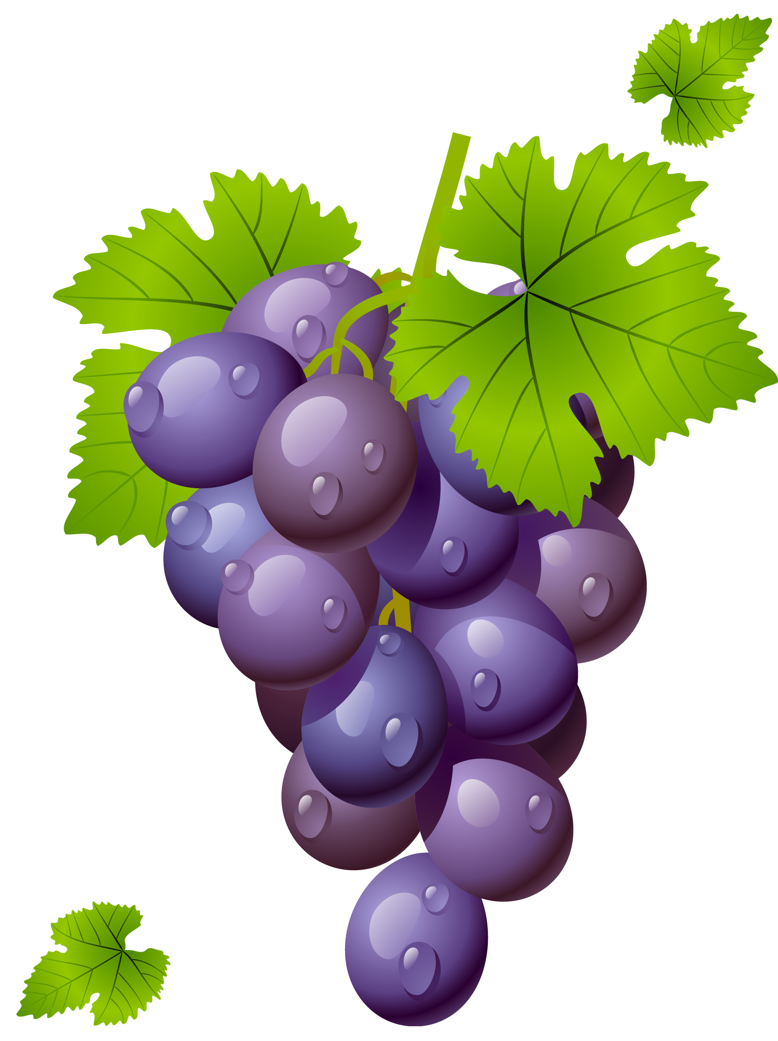 Bunch of grapes mosaic Stock Vector Images - Alamy - Clip Art Library