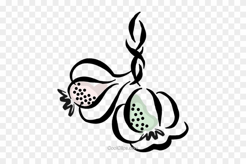 Stylized black-and-white illustration of two pomegranates with dotted seeds and flowing vines on transparent background.