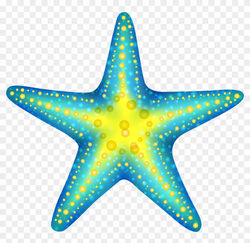 Colorful Starfish Illustration - Free PNG Download for Marine Projects
