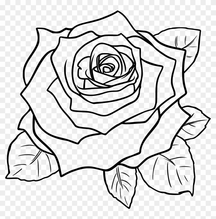 Free Rose Line Art Drawing - Printable Coloring Page & Design Resource