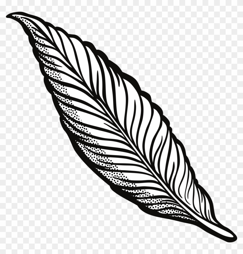 Black-and-white illustrated feather with detailed vein patterns and stippled shading on transparent background.