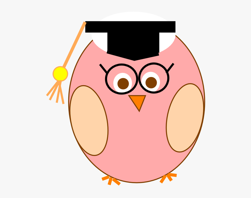 Pink cartoon owl wearing graduation cap and glasses, symbolizing academic achievement and wisdom.
