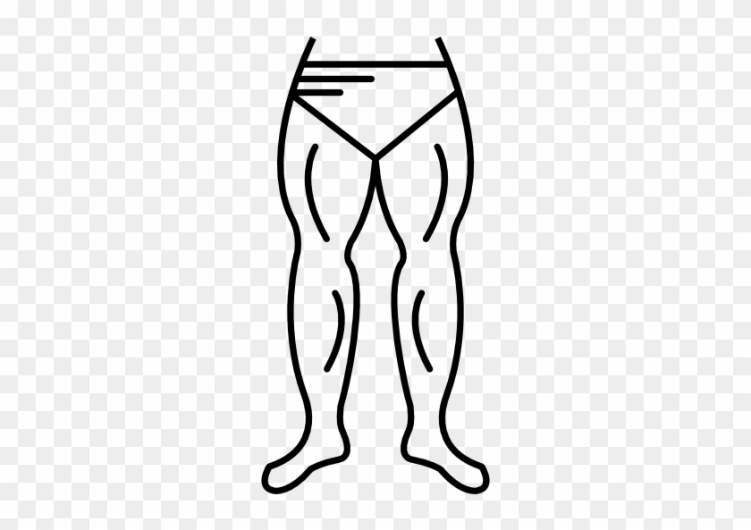 quad muscles - Clip Art Library
