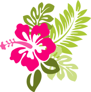 Vibrant pink hibiscus flower with layered petals and green tropical foliage in a stylized illustration.