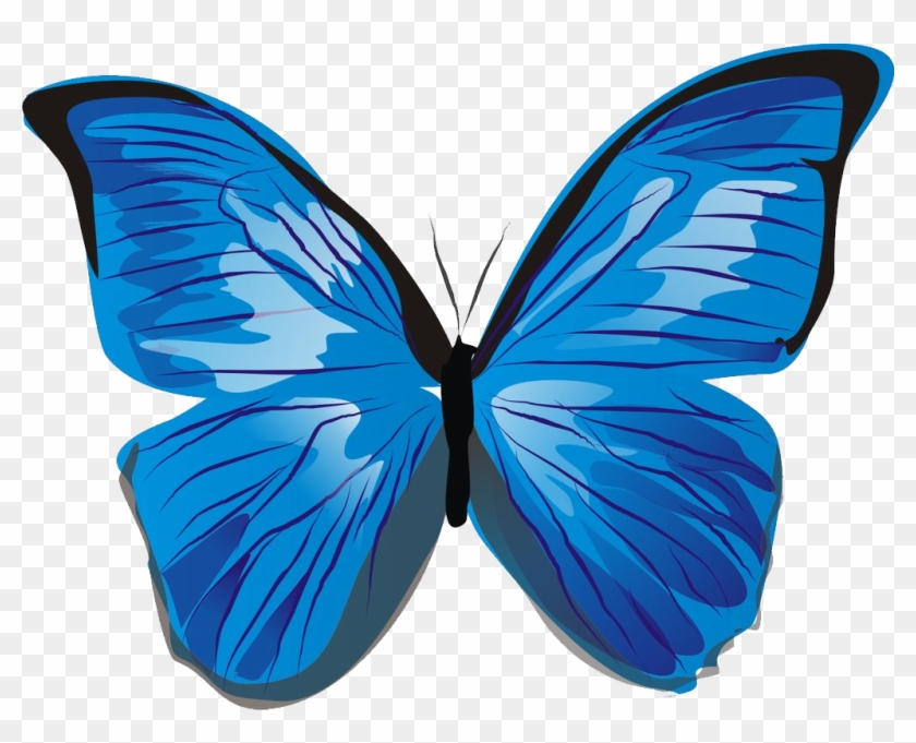 butterflys