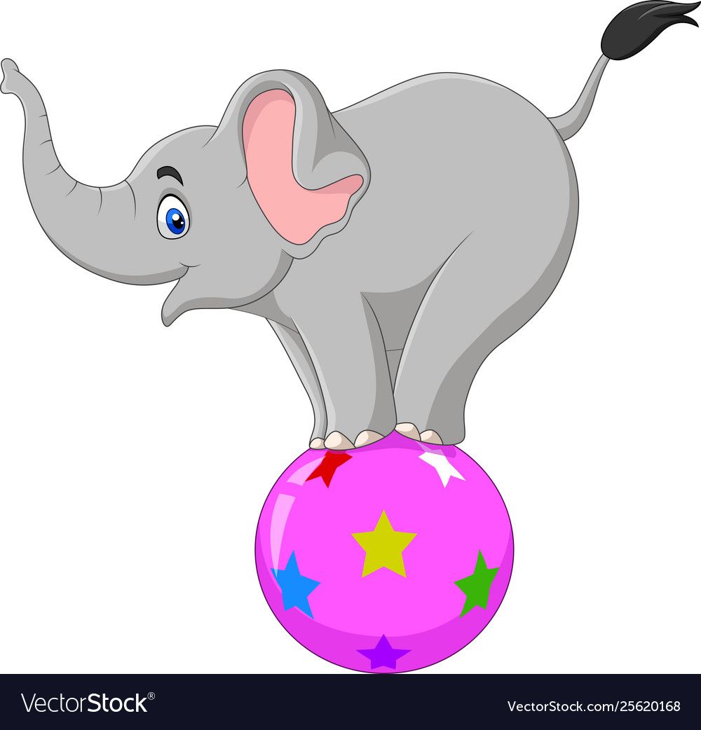 circus elephant
