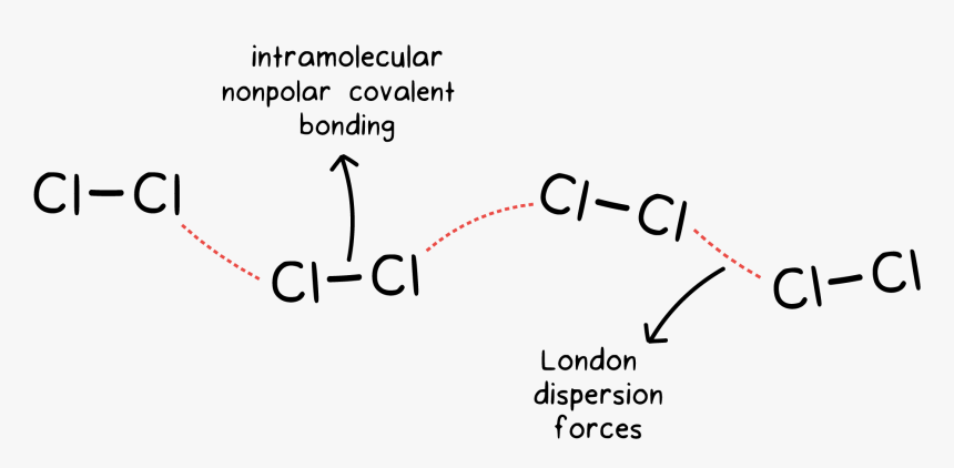 Intramolecular and Intermolecular Forces Chemistry Homework Worksheet ...