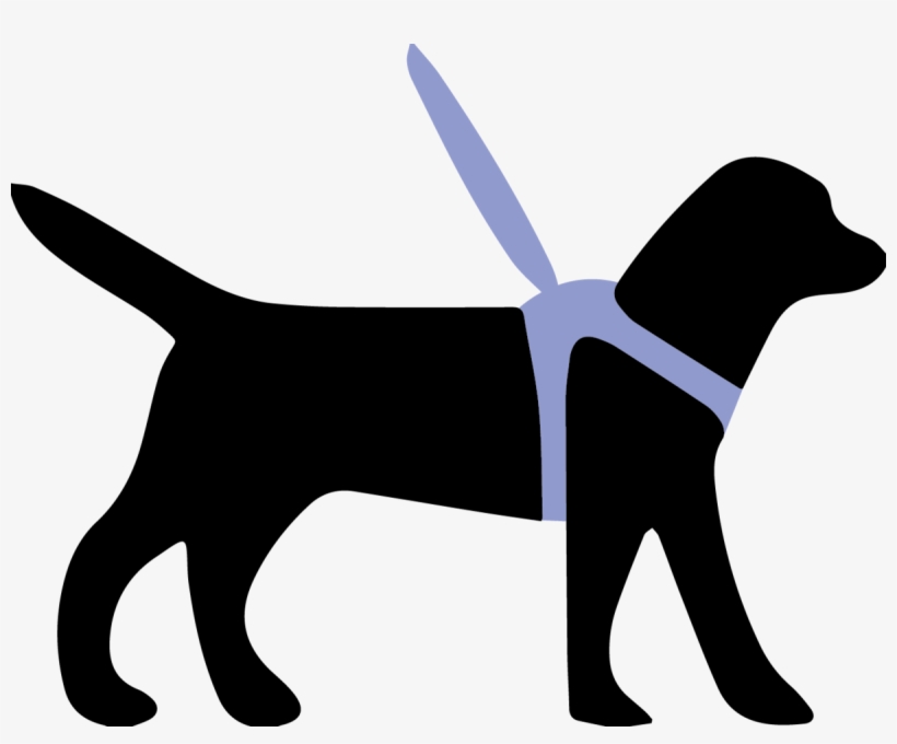 animal services