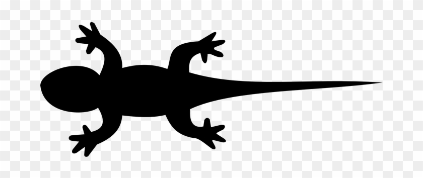 Lizard Svg Gecko Svg Lizard Silhouette Gecko Clipart - Clipart Library