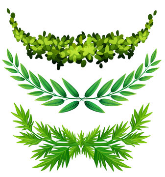 Vine Ivy Clip Art, PNG, 5040x3558px, Vine, Branch, Drawing, Flora 
