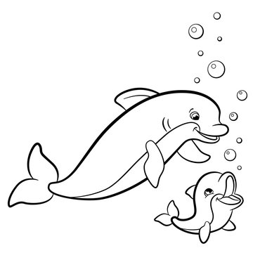 baby dolphins - Clip Art Library