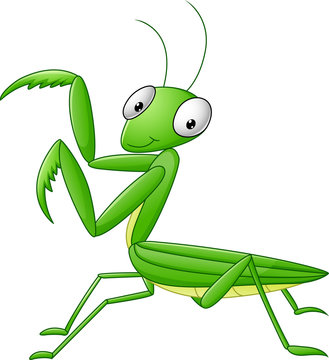 mantis cartoons - Clip Art Library