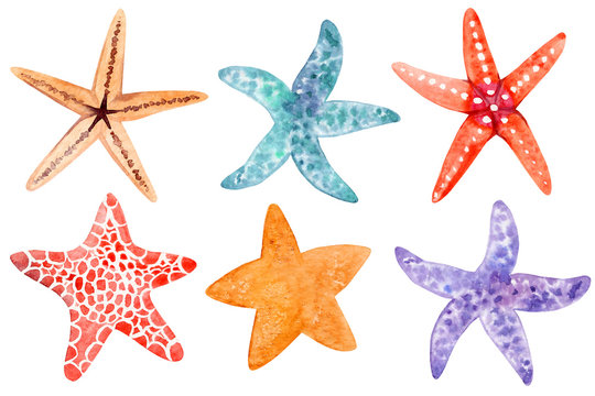 Cute Starfish Clipart Sea Star Clip Art - Clip Art Transparent PNG ...