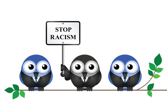 Three cartoon birds in suits perched on a branch, one holding a "STOP RACISM" sign.