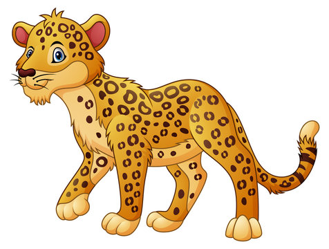 Cartoon Cheetah Cub Illustration - Free Download & Usage Guide