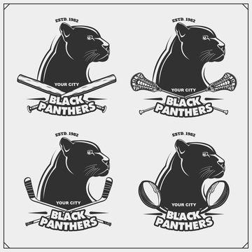 Black Panthers Sports Logo Templates - Vintage Team Badge Designs