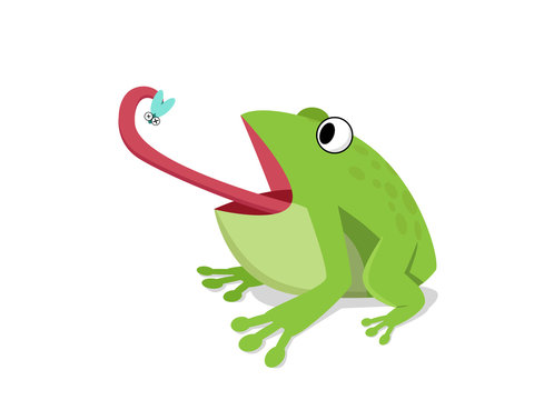 Green cartoon frog catching a fly with its long tongue, eyes wide open in surprise.