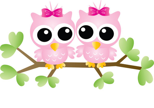 Two cute pink cartoon owls with bows perched on a leafy branch.