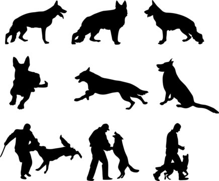 Black silhouettes of dogs in nine dynamic poses including standing, running, sitting, and interacting with humans.