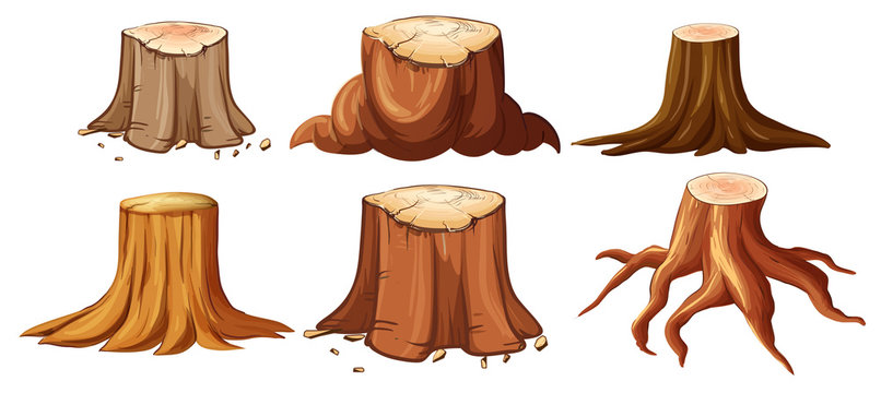 Six illustrated tree stumps with varying root structures and wood textures on white background.