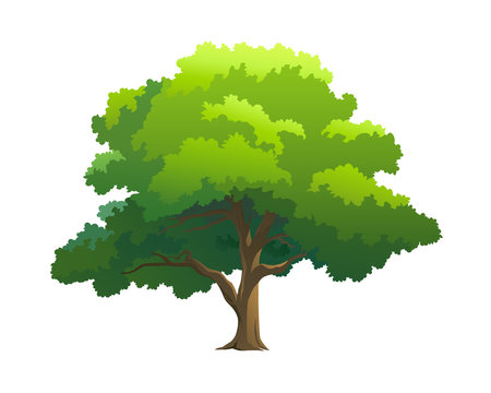 Illustration of a Healthy Green Tree - Free Download & Usage Guide