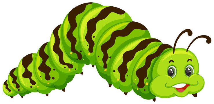 Cheerful green caterpillar with brown stripes and smiling face, cartoon style on white background.