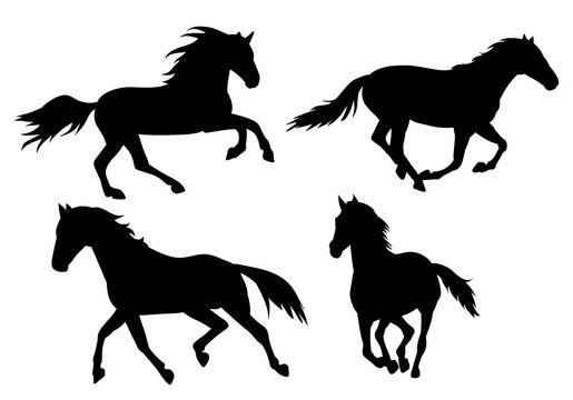 Four black silhouettes of horses in dynamic running poses on a white background.