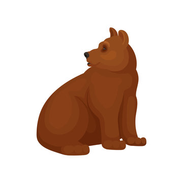 Brown cartoon bear sitting upright, facing left, with soft rounded features and expressive eyes.
