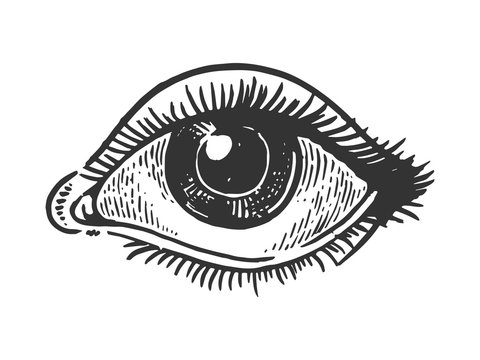 Vintage Eye Illustration - Hand-Drawn Art for Design & Editorial Use