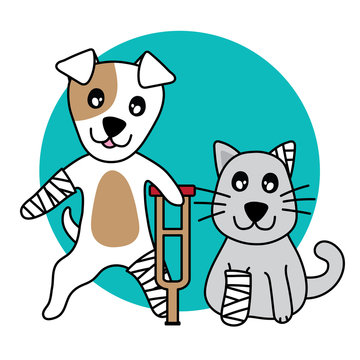 A cartoon dog with a bandaged leg and crutch stands beside a gray cat with a bandaged paw, both smiling against a teal circle.