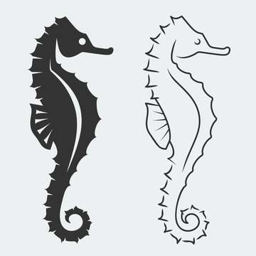 Seahorse Illustrations - Silhouette and Outline Vector Art