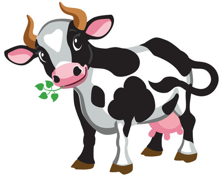 Cartoon black-and-white cow with brown horns, pink udder, and green leaves in mouth, standing front-facing.