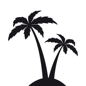 Two Palm Trees PNG Clipart Image​