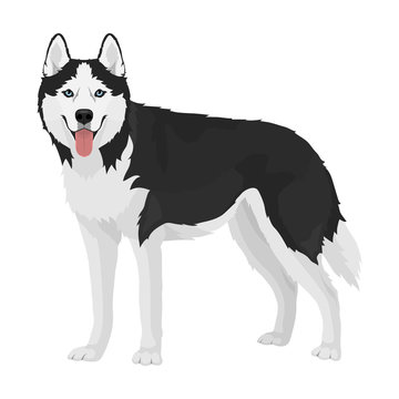 huskys printable - Clip Art Library