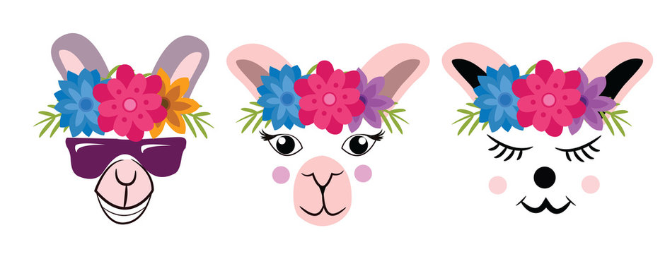 Three stylized alpaca heads wearing colorful flower crowns and sunglasses, each with unique expressions and pastel tones.