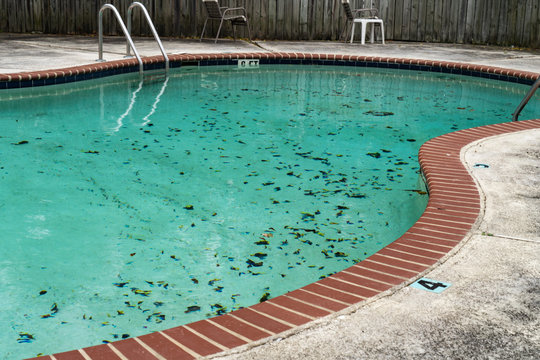 Neglected outdoor swimming pool with green algae, floating debris, and brick coping, surrounded by wooden fence and patio chairs.