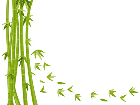 Green bamboo stalks with leaves cascading diagonally across a white background, stylized vector illustration.