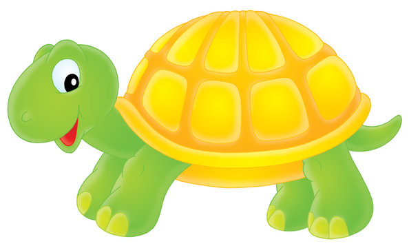 Free Baby Turtle Cliparts Download Free Baby Turtle Cliparts Png Clip Art Library