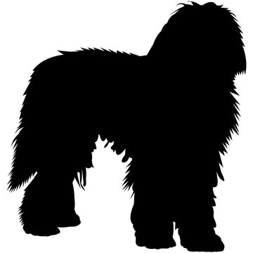 Silhouette of a fluffy, medium-sized dog standing in profile with long fur and a bushy tail.