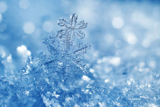 A delicate, intricately branched snowflake resting on icy crystals against a soft blue bokeh background.