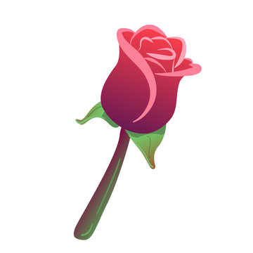 Beautiful Red Rose Illustration - Free Vector Graphic for Design