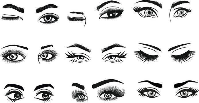 Eye and Eyebrow Shape Illustration Set - Beauty & Makeup Reference Guide
