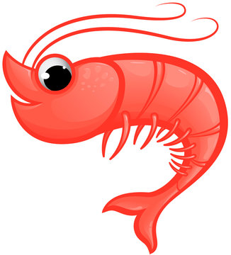 Bright red cartoon shrimp with large eye and curved antennae, smiling and stylized for illustration.