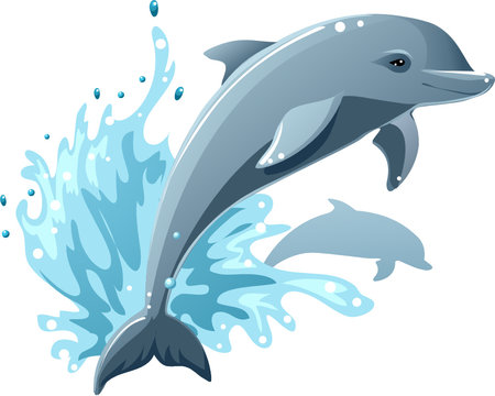 dolphin - Clip Art Library