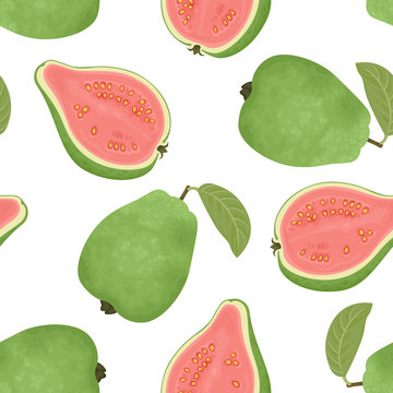Watercolor illustration of whole and sliced green guavas with pink flesh and seeds on white background.