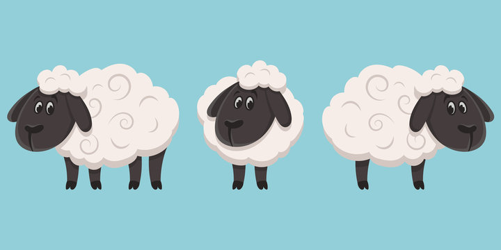 Three cartoon sheep with black faces, legs, and expressive eyes, standing side by side on a light blue background.